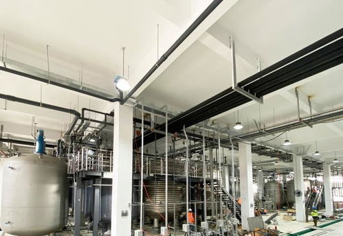 免疫細(xì)胞缺陷或可加速3倍衰老 西班牙科學(xué)家揭示衰老新機(jī)制